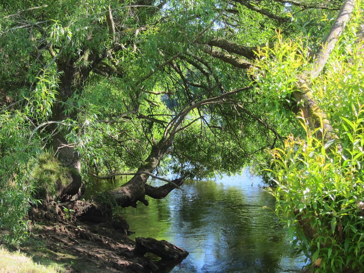 On The River Tamahere 外观 照片
